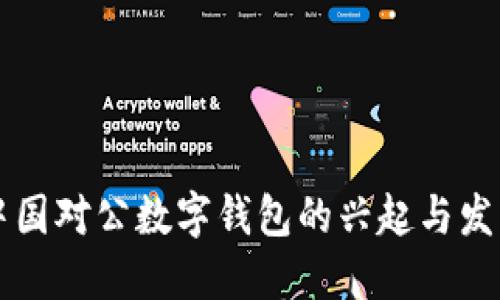 中国对公数字钱包的兴起与发展