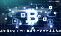 全面解析BitPie OVR：数字资产管理的未来与现状