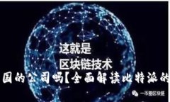 比特派是中国的公司吗？全面解读比特派的背景