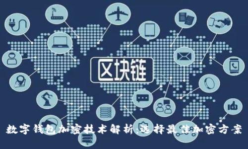 数字钱包加密技术解析：选择最佳加密方案