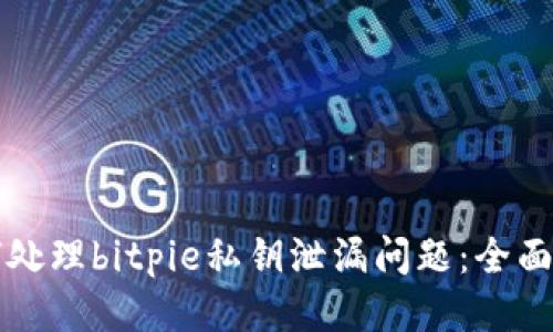 如何处理bitpie私钥泄漏问题：全面指南