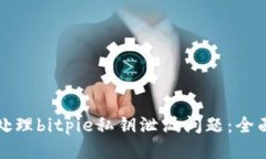 如何处理bitpie私钥泄漏问题：全面指南