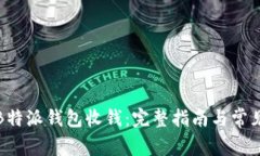 如何使用B特派钱包收钱：完整指南与常见问题解