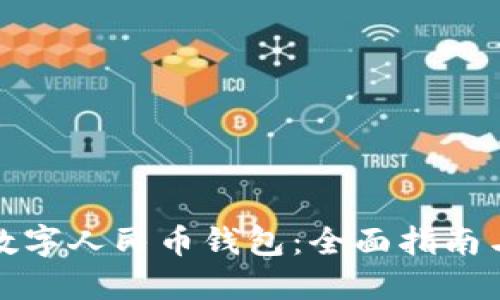 如何使用数字人民币钱包：全面指南与实用技巧
