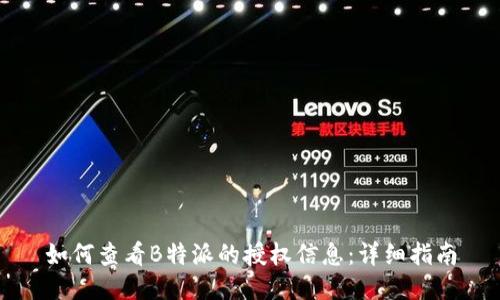 如何查看B特派的授权信息：详细指南