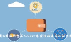 分析B特派钱包买入USDT速度慢的原因及解决方案