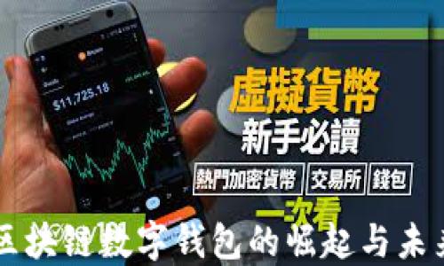 
中国区块链数字钱包的崛起与未来展望