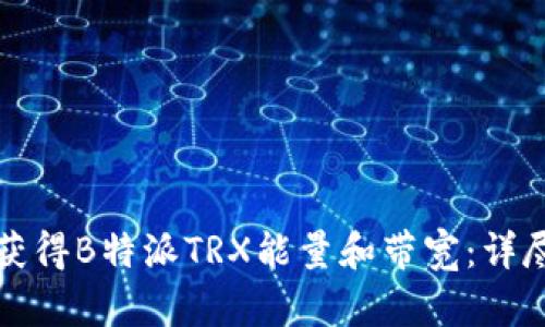 如何获得B特派TRX能量和带宽：详尽指南