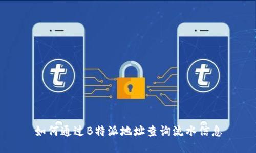 如何通过B特派地址查询流水信息