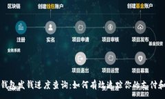 :深圳数字钱包发钱进度查询：如何有效追踪你的
