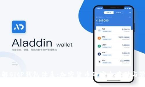 了解BitP钱包体系：加密货币的安全存储与管理