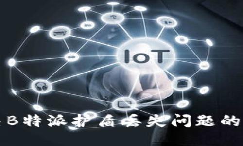 如何解决B特派护盾丢失问题的全面指南