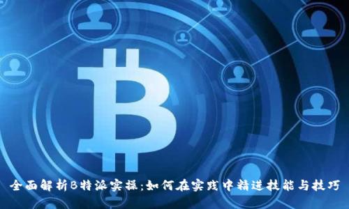 全面解析B特派实操：如何在实践中精进技能与技巧