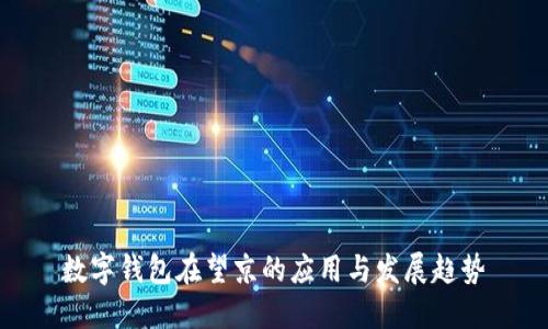 数字钱包在望京的应用与发展趋势