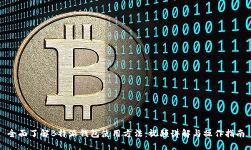 全面了解B特派钱包使用方法：视频讲解与操作指南