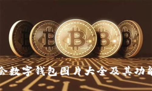 大运会数字钱包图片大全及其功能解析