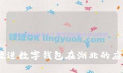 思考一个的，放进数字钱包在湖北的应用与发展