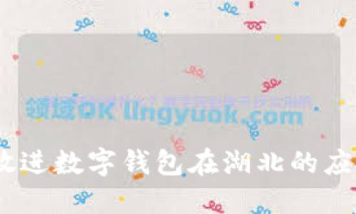 思考一个的，放进数字钱包在湖北的应用与发展趋势