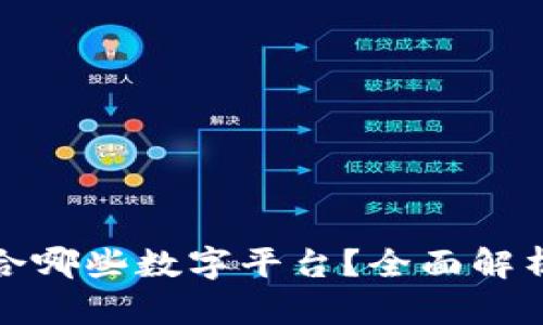 数字钱包适合哪些数字平台？全面解析与应用指南