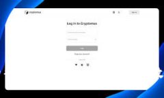 数字钱包的替代方案：探索可替代的数字支付方