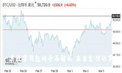 一类数字钱包的全面解析：未来支付的革命