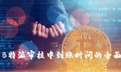 关于B特派审核中到账时间的全面解析