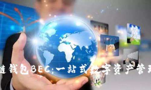美图区块链钱包BEC：一站式数字资产管理解决方案