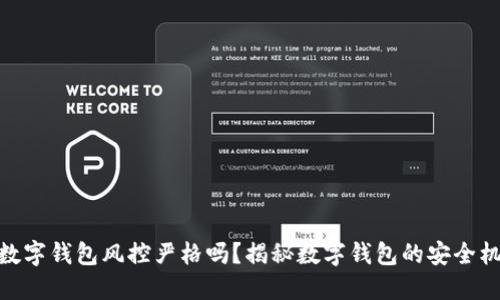 : 数字钱包风控严格吗？揭秘数字钱包的安全机制