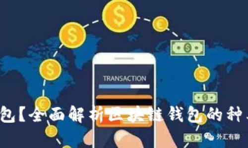 什么是区块链钱包？全面解析区块链钱包的种类、功能与安全性