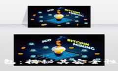 国际数字钱包：揭秘其安全性与诈骗风险