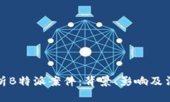 深入解析B特派案件：背景、影响及法律意义