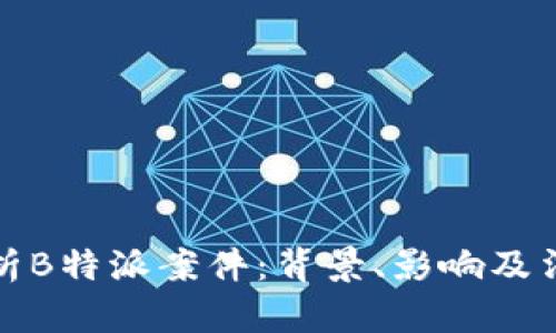 深入解析B特派案件：背景、影响及法律意义