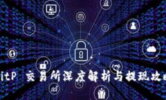 BitP 交易所深度解析与提现攻略