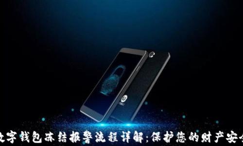 
数字钱包冻结报警流程详解：保护您的财产安全