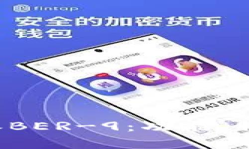深度解析b特派BER-9：功能、特点与应用前景