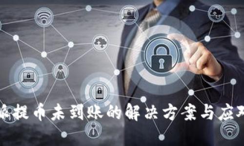 比特派提币未到账的解决方案与应对策略