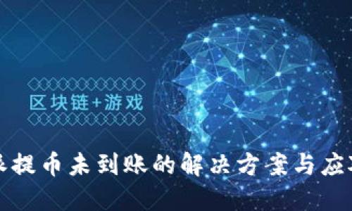 比特派提币未到账的解决方案与应对策略