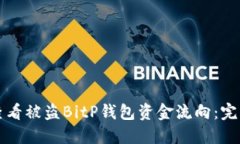 如何查看被盗BitP钱包资金流向：完整指南