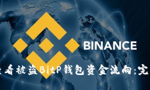 如何查看被盗BitP钱包资金流向：完整指南