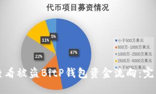 如何查看被盗BitP钱包资金流向：完整指南