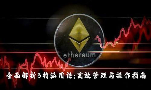 全面解析B特派用法：高效管理与操作指南