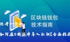 思考一个的:如何在B特派中导入私钥？全面指南