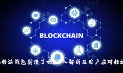 b特派钱包崩溃了吗？深入解析及用户应对措施