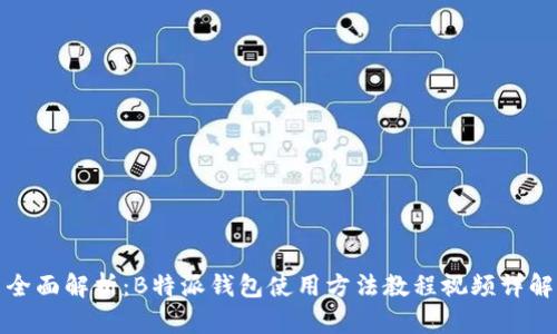 全面解析：B特派钱包使用方法教程视频详解