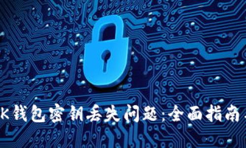 如何处理BK钱包密钥丢失问题：全面指南与解决方案