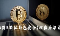 如何保障B特派钱包安全？被盗后能否追查？
