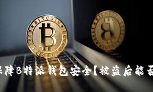 如何保障B特派钱包安全？被盗后能否追查？