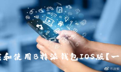 如何下载和使用B特派钱包IOS版？一站式指南