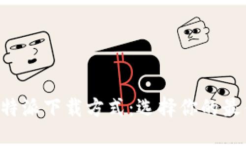 全面解析B特派下载方式：选择你的最佳下载途径