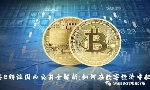 2023年B特派国内交易全解析：如何在数字经济中把握商机